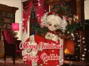 Merry Christmas Robbie