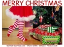 Merry Christmas, TREE, HOLIDAYS, CHRISTMAS, TEXT