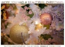 HOPE YOU HAD A BEAUTIFULL CHRISTMAS