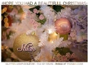 HOPE YOU HAD A BEAUTIFULL CHRISTMAS.. Shian