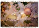 HOPE YOU HAD A BEAUTIFULL CHRISTMAS.. Rennie