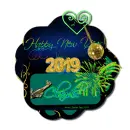 Claudie - Happy New Year - Fireworks - Champagne