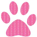 paw prints