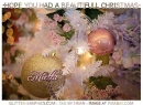 HOPE YOU HAD A BEAUTIFULL CHRISTMAS.. Mietta