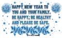 happy New Year to you and your Family