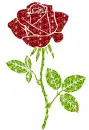 rose