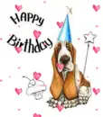 Birthday Basset Hound