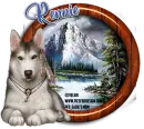 Husky - Rennie