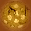 TwoNoteSambaDisco