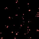 red sparkles