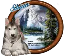 Wolf - Shian