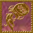 Aquarius sign