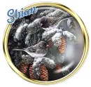 BIRDS IN WINTER - SHII