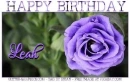 HAPPY BIRTHDAY LEAH, PURPLE, ROSE, TEXT