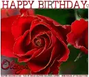 HAPPY BIRTHDAY OLESYA, GLITTER, RED ROSE, TEXT