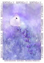 BIRTHDAY.. BIRTHDAY.. BIRTHDAY, BUTTERFLY, PURPLE, TEXT