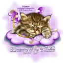 Kitten dreaming of his Valentine