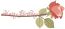 HAPPY BIRTHDAY, ROSE, TEXT
