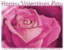 HAPPY VALENTINES DAY, GLITTER, PINK ROSE, TEXT