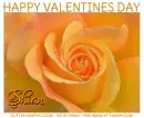HAPPY VALENTINES DAY.. SHIAN, FLOWERS, HOLIDAYS, TEXT