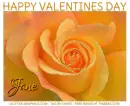 HAPPY VALENTINES DAY.. Jane, GLITTER, ROSE, TEXT