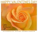 HAPPY VALENTINES DAY.. GINA, FLOWERS, HOLIDAYS, TEXT