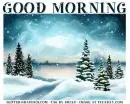 GOOD MORNING IN THE PINES