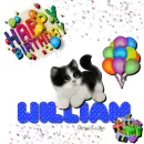 William - Happy Birthday - Cat - Gifts - Balloons