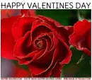 HAPPY VALENTINES DAY, GLITTER, ROSE, TEXT