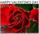 HAPPY VALENTINES DAY.. CHRISTY