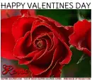 HAPPY VALENTINES DAY.. RENNIE, ROSE, HOLIDAYS, TEXT