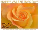HAPPY VALENTINES DAY.. MEL, FLOWERS, ROSE, TEXT