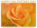 HAPPY VALENTINES DAY.. ROBBIE, GLITTER, ROSE, TEXT