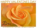 HAPPY VALENTINES DAY.. BREN, HOLIDAYS, GLITTER, TEXT