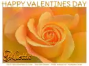 HAPPY VALENTINES DAY.. MIETTA, ROSE, HOLIDAYS, TEXT