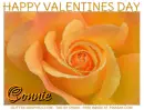 HAPPY VALENTINES DAY.. CONNIE, GLITTER, ROSE, TEXT
