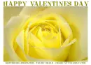 HAPPY VALENTINES DAY, YELLOW ROSE, TEXT