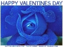HAPPY VALENTINES DAY, BLUE ROSE, TEXT
