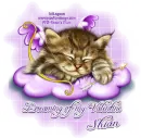 Dreaming of my Valentine - Shian