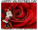 HAPPY VALENTINES DAY, ROSE, TEXT, MINNIE MOUSE