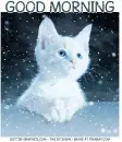 GOOD MORNING, ANIMATED SNOW, TEXT