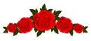 RED ROSE DIVIDER