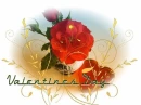 VALENTINES DAY, ROSE, TEXT, HOLIDAYS
