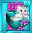 jessi