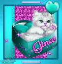 Gina