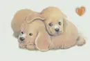 Cuddling puppies