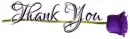 THANK YOU, PURPLE ROSE, HOLIDAYS, TEXT