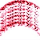 He'sARainbowxoxoMultipink
