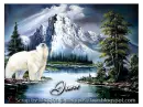 Polar Bear - Jane