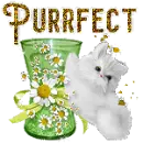Purrfect